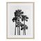 Stupell Industries Black & White Palm Tropics Framed Print Under Glass, design by Natalie Carpentieri